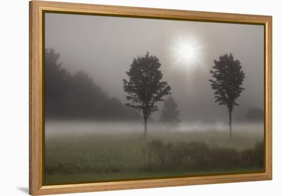 Two Trees & Sunburst, Logan, Ohio ‘10-Monte Nagler-Framed Premier Image Canvas