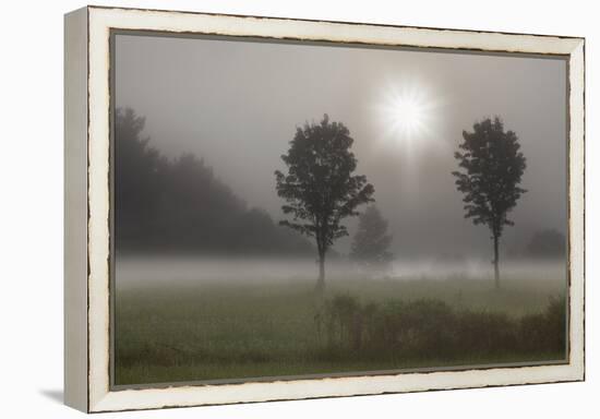 Two Trees & Sunburst, Logan, Ohio ‘10-Monte Nagler-Framed Premier Image Canvas