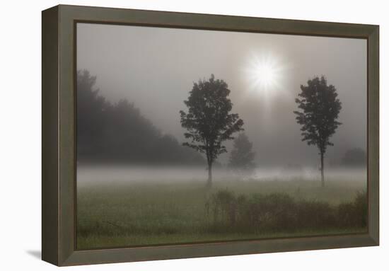 Two Trees & Sunburst, Logan, Ohio ‘10-Monte Nagler-Framed Premier Image Canvas