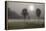 Two Trees & Sunburst, Logan, Ohio ‘10-Monte Nagler-Framed Premier Image Canvas