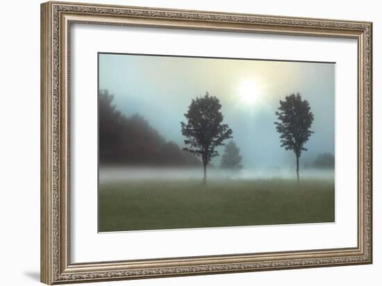 Two Trees & Sunburst-Monte Nagler-Framed Giclee Print