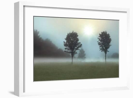 Two Trees & Sunburst-Monte Nagler-Framed Giclee Print