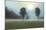 Two Trees & Sunburst-Monte Nagler-Mounted Giclee Print