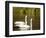 Two Trumpeter Swans, Yellowstone National Park, WY-Elizabeth DeLaney-Framed Photographic Print