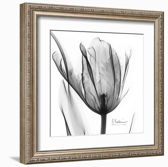 Two Tulips in Black and White-Albert Koetsier-Framed Art Print