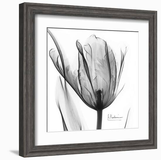 Two Tulips in Black and White-Albert Koetsier-Framed Art Print