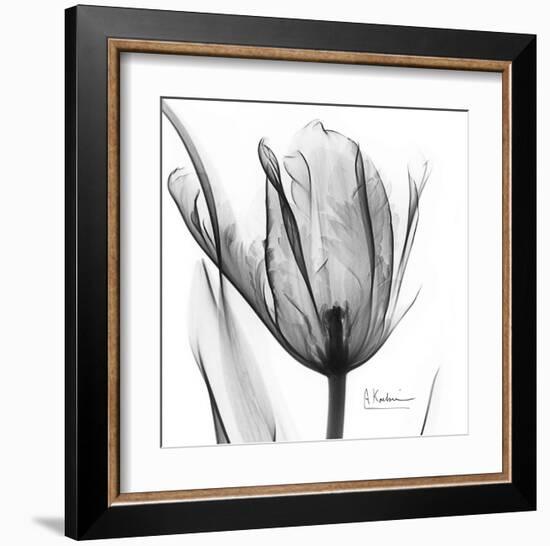 Two Tulips in Black and White-Albert Koetsier-Framed Art Print