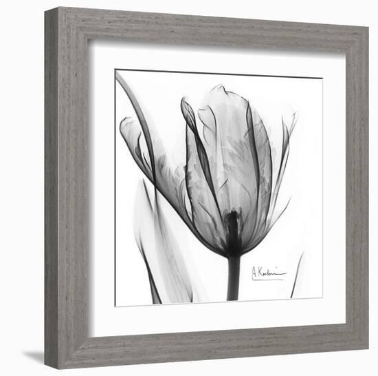 Two Tulips in Black and White-Albert Koetsier-Framed Art Print