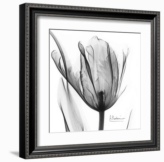 Two Tulips in Black and White-Albert Koetsier-Framed Art Print