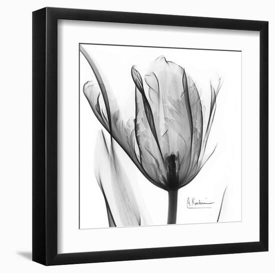 Two Tulips in Black and White-Albert Koetsier-Framed Art Print