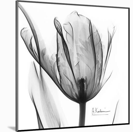 Two Tulips in Black and White-Albert Koetsier-Mounted Art Print