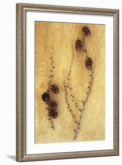 Two Twigs-Den Reader-Framed Photographic Print