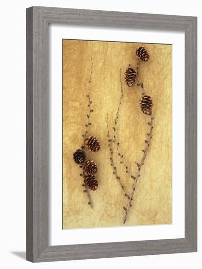 Two Twigs-Den Reader-Framed Photographic Print