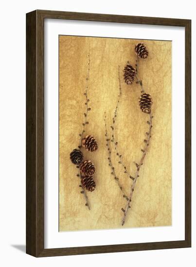 Two Twigs-Den Reader-Framed Photographic Print