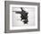 Two UH-60 Black Hawks Underway on a Mission over Northern Iraq-null-Framed Photographic Print