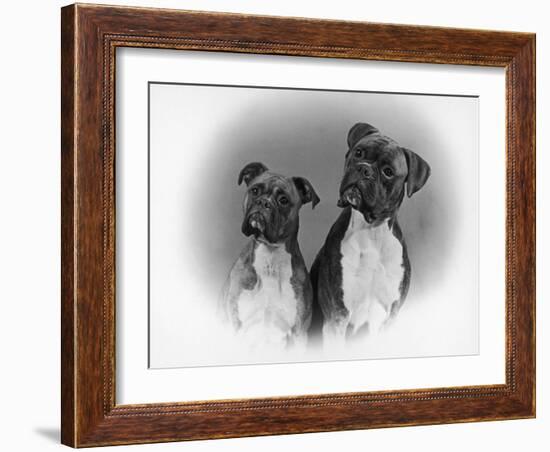 Two Unidentified Boxer Heads Slightly Tilted-Thomas Fall-Framed Photographic Print