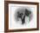 Two Unidentified Boxer Heads Slightly Tilted-Thomas Fall-Framed Photographic Print