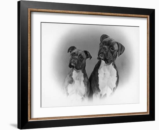 Two Unidentified Boxer Heads Slightly Tilted-Thomas Fall-Framed Photographic Print