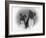 Two Unidentified Boxer Heads Slightly Tilted-Thomas Fall-Framed Photographic Print