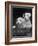 Two Unnamed Sealyhams Sitting in a Trug-Thomas Fall-Framed Photographic Print