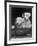 Two Unnamed Sealyhams Sitting in a Trug-Thomas Fall-Framed Photographic Print