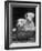 Two Unnamed Sealyhams Sitting in a Trug-Thomas Fall-Framed Photographic Print