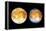 Two Views of Europa From the Galileo Spacecraft-null-Framed Premier Image Canvas