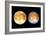 Two Views of Europa From the Galileo Spacecraft-null-Framed Premium Photographic Print