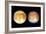 Two Views of Europa From the Galileo Spacecraft-null-Framed Photographic Print