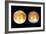 Two Views of Europa From the Galileo Spacecraft-null-Framed Photographic Print