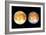 Two Views of Europa From the Galileo Spacecraft-null-Framed Photographic Print