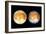 Two Views of Europa From the Galileo Spacecraft-null-Framed Photographic Print