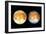 Two Views of Europa From the Galileo Spacecraft-null-Framed Photographic Print