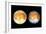 Two Views of Europa From the Galileo Spacecraft-null-Framed Photographic Print