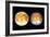 Two Views of Europa From the Galileo Spacecraft-null-Framed Photographic Print