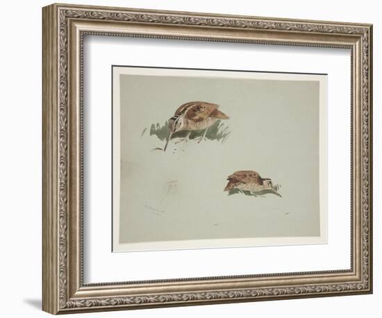 Two Vignettes of Woodcock, C.1915 (W/C & Bodycolour over Pencil on Paper)-Archibald Thorburn-Framed Giclee Print