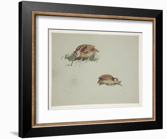 Two Vignettes of Woodcock, C.1915 (W/C & Bodycolour over Pencil on Paper)-Archibald Thorburn-Framed Giclee Print