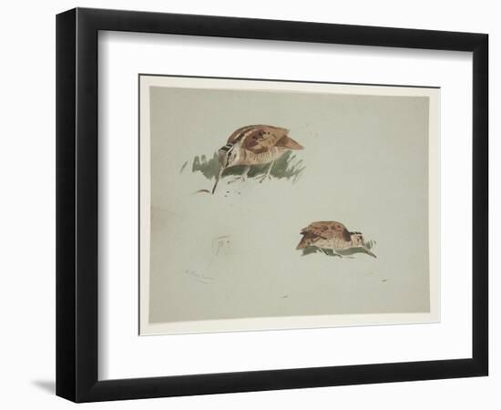 Two Vignettes of Woodcock, C.1915 (W/C & Bodycolour over Pencil on Paper)-Archibald Thorburn-Framed Giclee Print