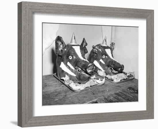 Two Well Decorated Roasted Pigs Heads in Australia, Ca. 1955.-Kirn Vintage Stock-Framed Photographic Print