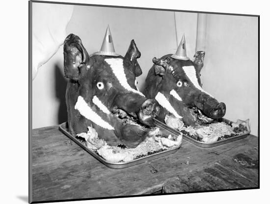 Two Well Decorated Roasted Pigs Heads in Australia, Ca. 1955.-Kirn Vintage Stock-Mounted Photographic Print