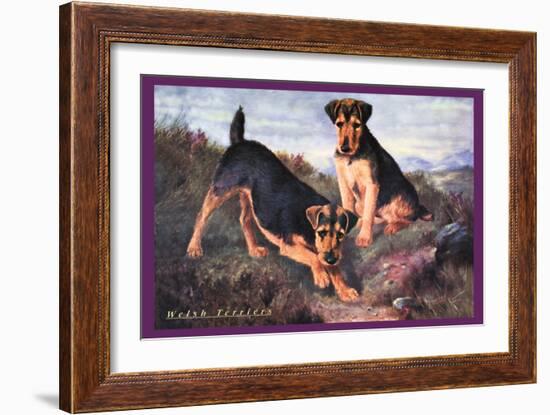 Two Welsh Terriers-null-Framed Art Print