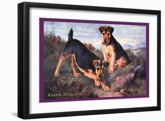 Two Welsh Terriers-null-Framed Art Print