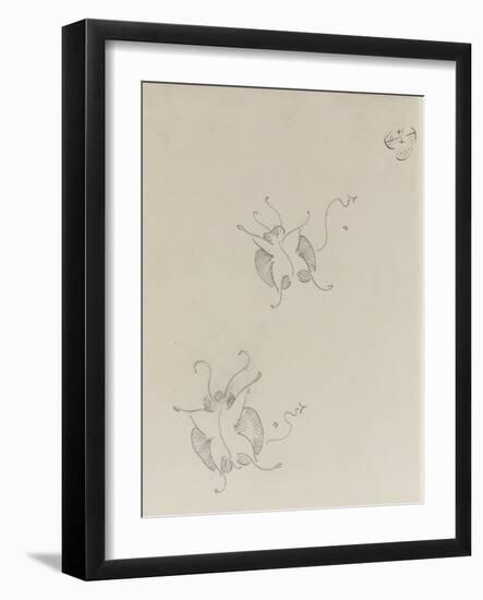 Two Whistler Butterflies, C.1890 (Pencil on Paper)-James Abbott McNeill Whistler-Framed Giclee Print