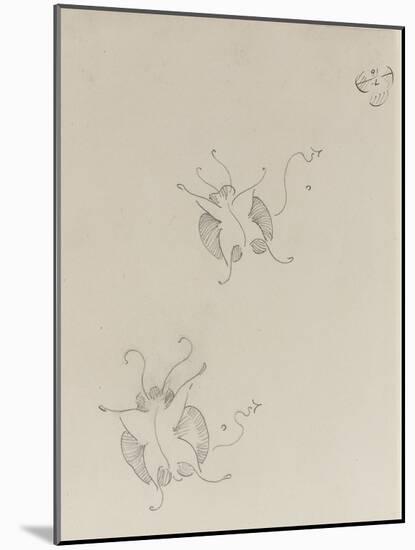 Two Whistler Butterflies, C.1890 (Pencil on Paper)-James Abbott McNeill Whistler-Mounted Giclee Print