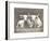 Two White Bulls-Gwendolyn Babbitt-Framed Art Print