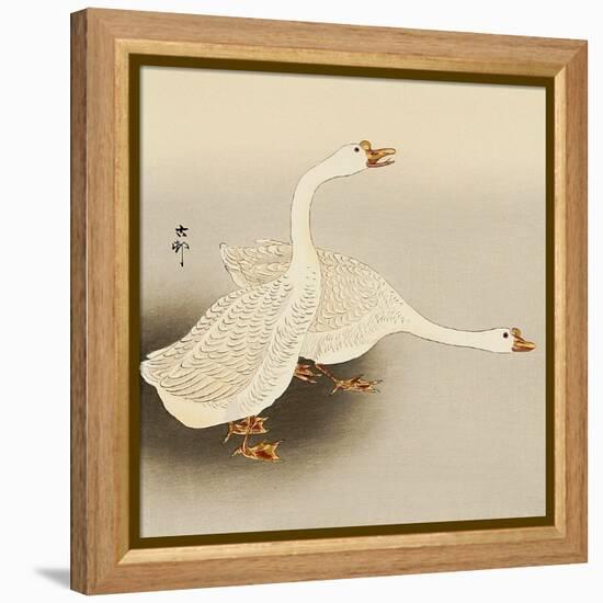 Two White Geese-Koson Ohara-Framed Premier Image Canvas