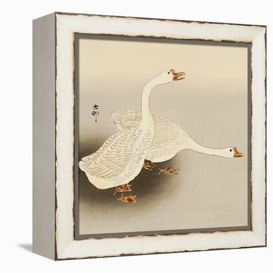 Two White Geese-Koson Ohara-Framed Premier Image Canvas