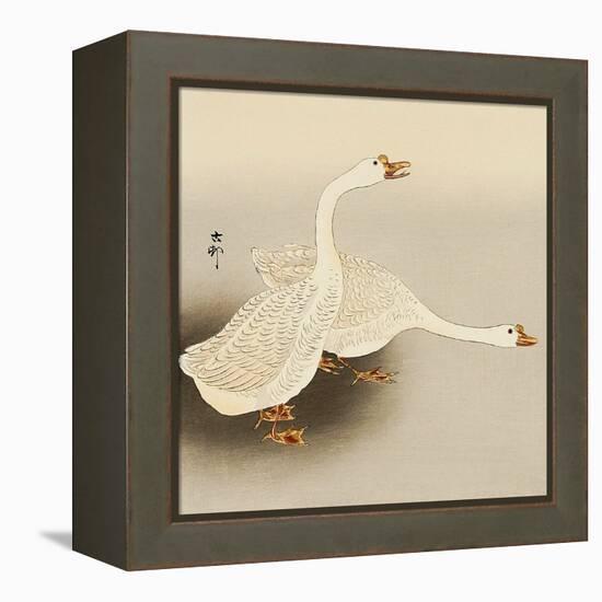 Two White Geese-Koson Ohara-Framed Premier Image Canvas