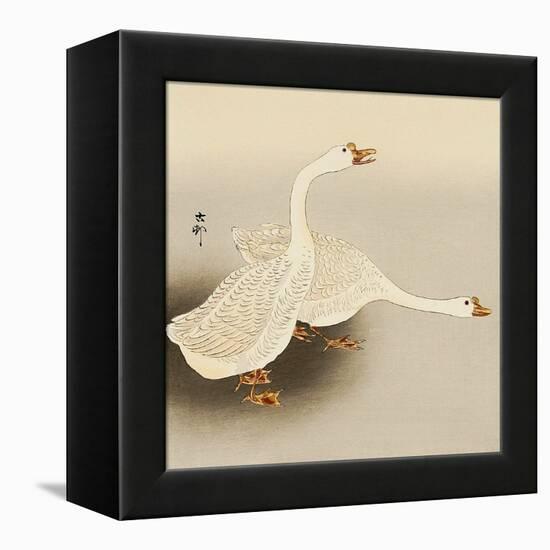 Two White Geese-Koson Ohara-Framed Premier Image Canvas