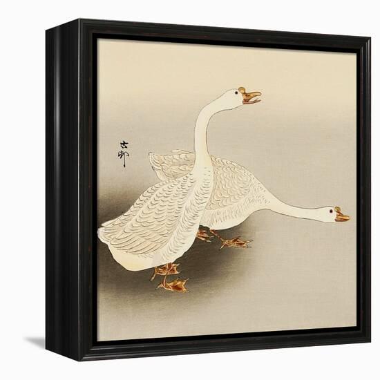 Two White Geese-Koson Ohara-Framed Premier Image Canvas